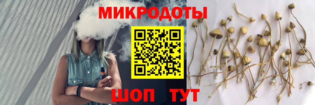 Сочи  Галлюциногенные грибы GOLDEN TEACHER  Вход с VPN  Псилоцибиновые грибы Cubensis 